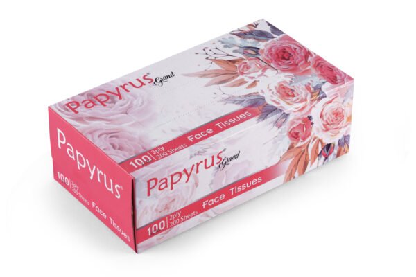 Facial Tissue 100 pulls - Set of 4 (Freshup Grand ) - Image 2
