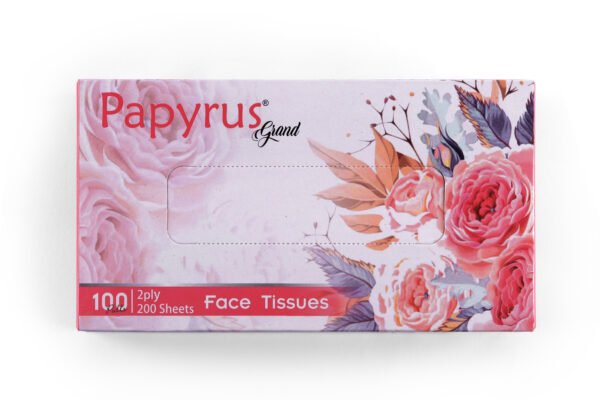 Facial Tissue 100 pulls - Set of 4 (Freshup Grand ) - Image 3