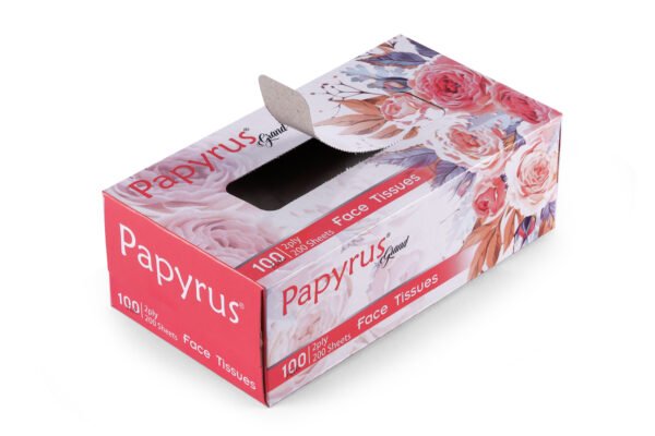 Facial Tissue 100 pulls - Set of 4 (Freshup Grand ) - Image 4