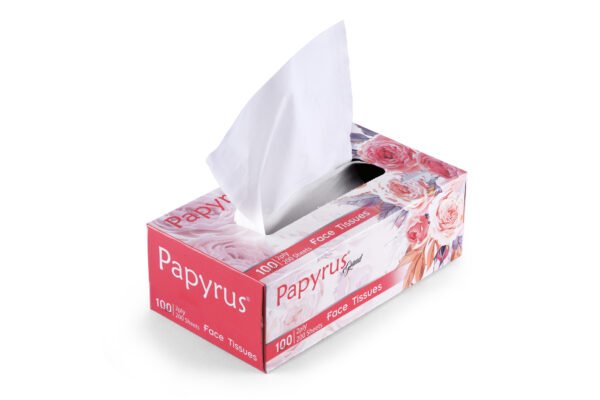 Facial Tissue 100 pulls - Set of 4 (Freshup Grand ) - Image 5