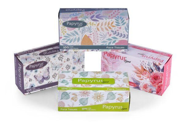 Facial Tissue 100 pulls - Set of 4 (Freshup Grand ) - Image 7