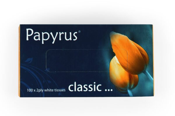 Facial Tissue 100 pulls - Set of 4 (Classic) - Image 2