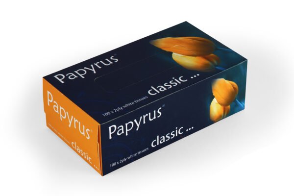 Facial Tissue 100 pulls - Set of 4 (Classic) - Image 3