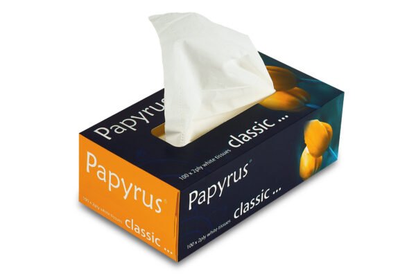 Facial Tissue 100 pulls - Set of 4 (Classic) - Image 5
