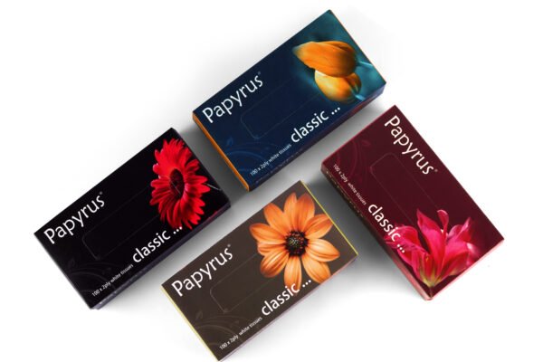 Facial Tissue 100 pulls - Set of 4 (Classic) - Image 6