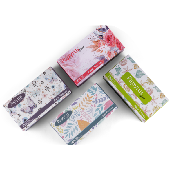 Facial Tissue 100 pulls - Set of 4 (Freshup Grand )